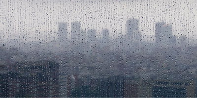 Less transparency = more volatility | Cougar Outlook & Tactical Update